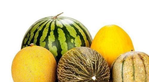 吃老瓜瓢的好处