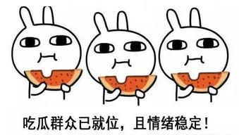 祝你吃瓜最甜,祝您吃瓜最甜