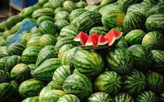 吃鲜瓜胖吗,增肥还是瘦身？揭秘鲜瓜热量真相