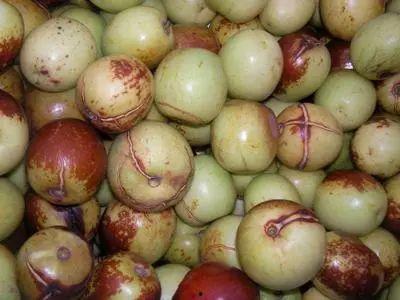 吃瓜的枣,揭秘瓜果界的甜蜜诱惑