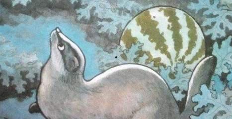 吃瓜像猹,揭秘吃瓜如猹的独特魅力