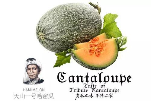 外国最强吃瓜,揭秘外国最强“瓜农”