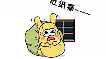 吃瓜群众的礼包,一场全民狂欢的盛宴